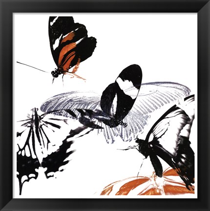 Framed Butterfly Inflorescence III Print