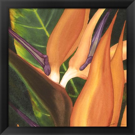 Framed Bird Of Paradise Tile I Print