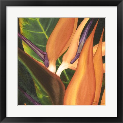 Framed Bird Of Paradise Tile I Print