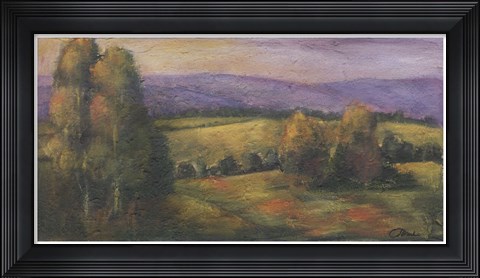 Framed El Dorado Lake I Print