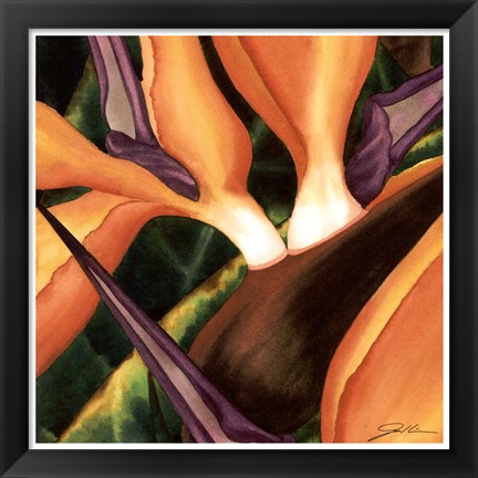 Framed Bird Of Paradise Tile II Print