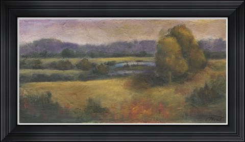 Framed El Dorado Lake II Print