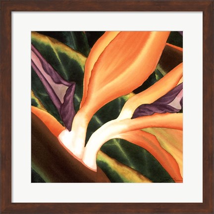 Framed Bird Of Paradise Tile III Print