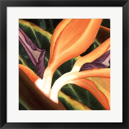 Framed Bird Of Paradise Tile III Print