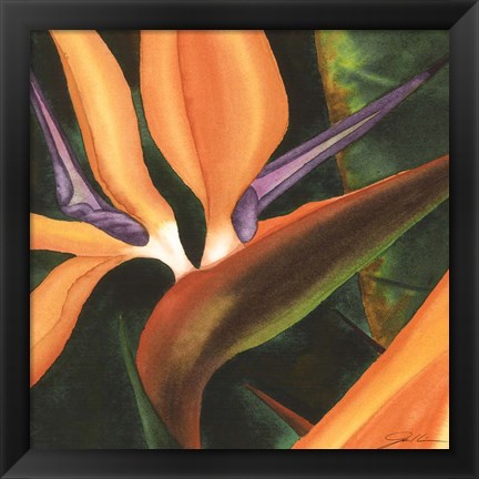 Framed Bird Of Paradise Tile IV Print