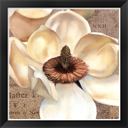 Framed Magnolia Masterpiece I Print