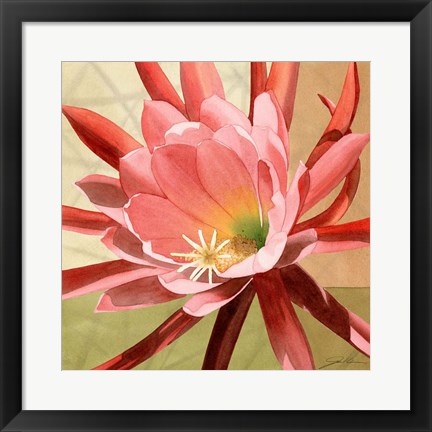 Framed Desert Bloom I Print