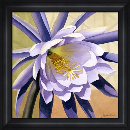 Framed Desert Bloom II Print