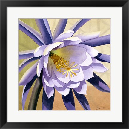 Framed Desert Bloom II Print