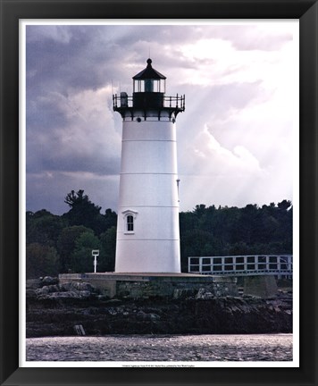 Framed Lighthouse Views IV Print