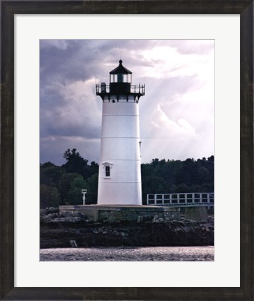 Framed Lighthouse Views IV Print