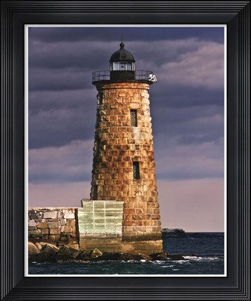 Framed Lighthouse Views V Print