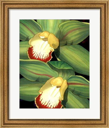 Framed Lime Orchid I Print