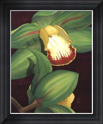 Framed Lime Orchid II Print