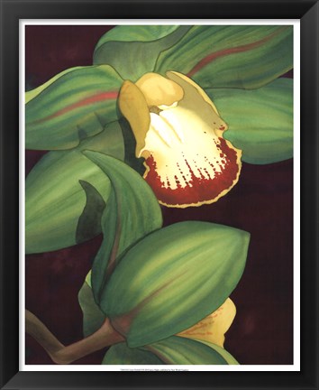 Framed Lime Orchid II Print