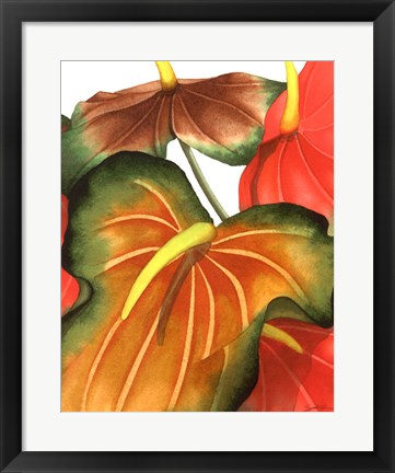 Framed Anthuria I Print