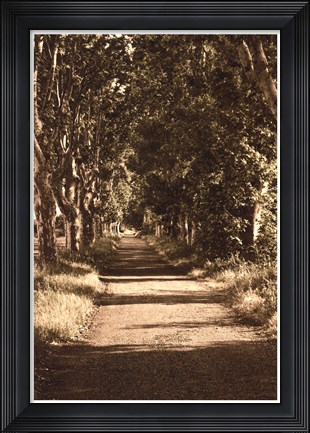 Framed Road to St.Remy Print