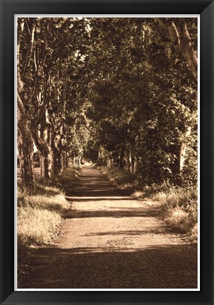 Framed Road to St.Remy Print