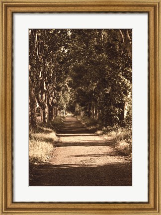 Framed Road to St.Remy Print