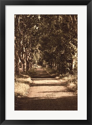 Framed Road to St.Remy Print