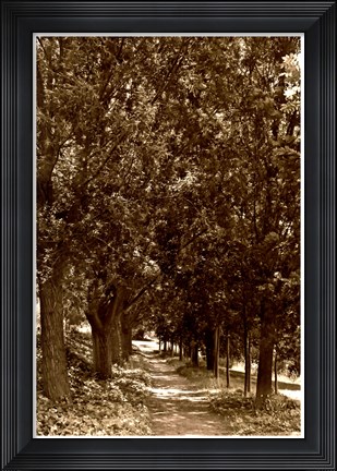 Framed Road to Giverny Print