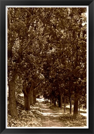 Framed Road to Giverny Print