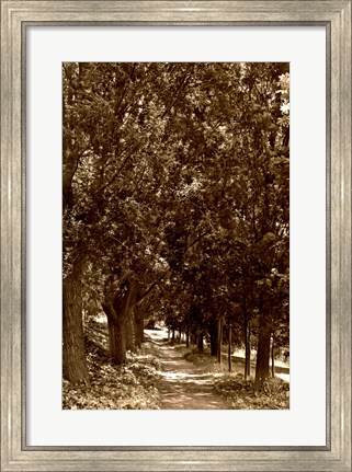 Framed Road to Giverny Print