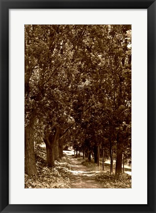 Framed Road to Giverny Print