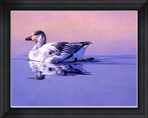 Framed Morning Glory Print