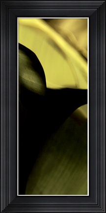 Framed Leaf Detail II Print