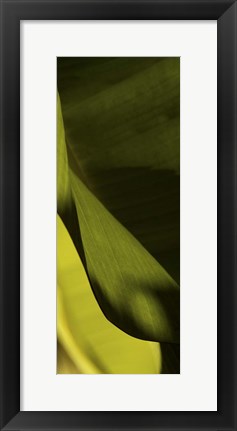 Framed Leaf Detail III Print
