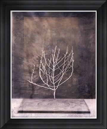 Framed Desert Form II Print