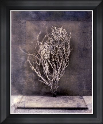 Framed Desert Form III Print