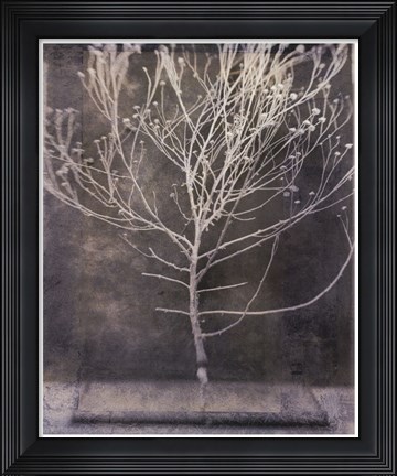 Framed Desert Form IV Print