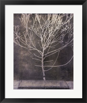 Framed Desert Form IV Print