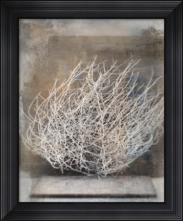 Framed Desert Form V Print