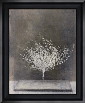 Framed Desert Form VI Print