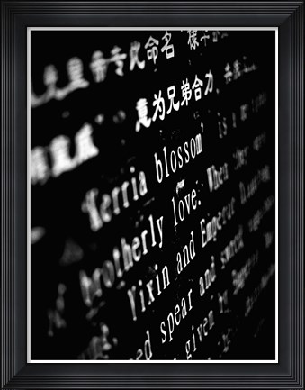 Framed Lithography I Print