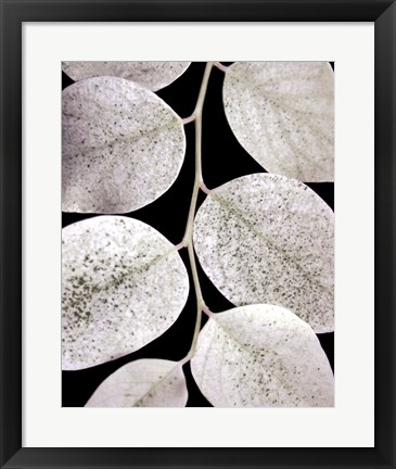 Framed Leaf Design I Print