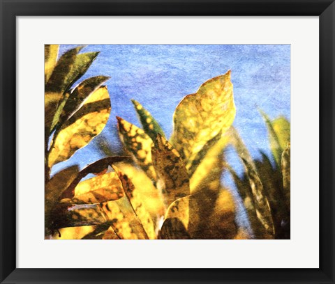 Framed Sun Toward II Print