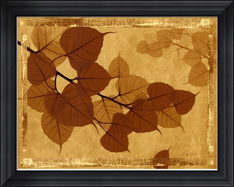 Framed Ghost Leaves I Print