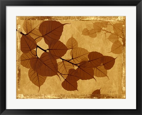 Framed Ghost Leaves I Print