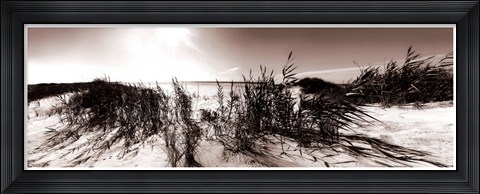 Framed Wind in the Dunes I Print