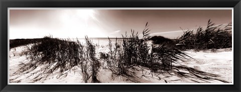 Framed Wind in the Dunes I Print