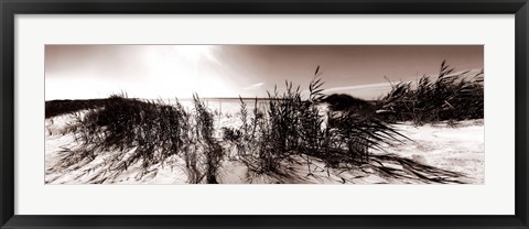 Framed Wind in the Dunes I Print