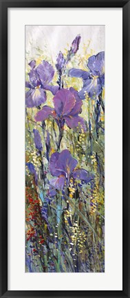 Framed Iris Field I Print