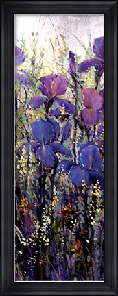 Framed Iris Field II Print