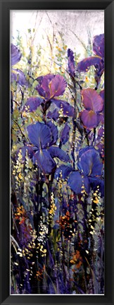 Framed Iris Field II Print