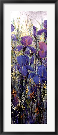 Framed Iris Field II Print