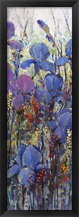 Framed Iris Field III Print